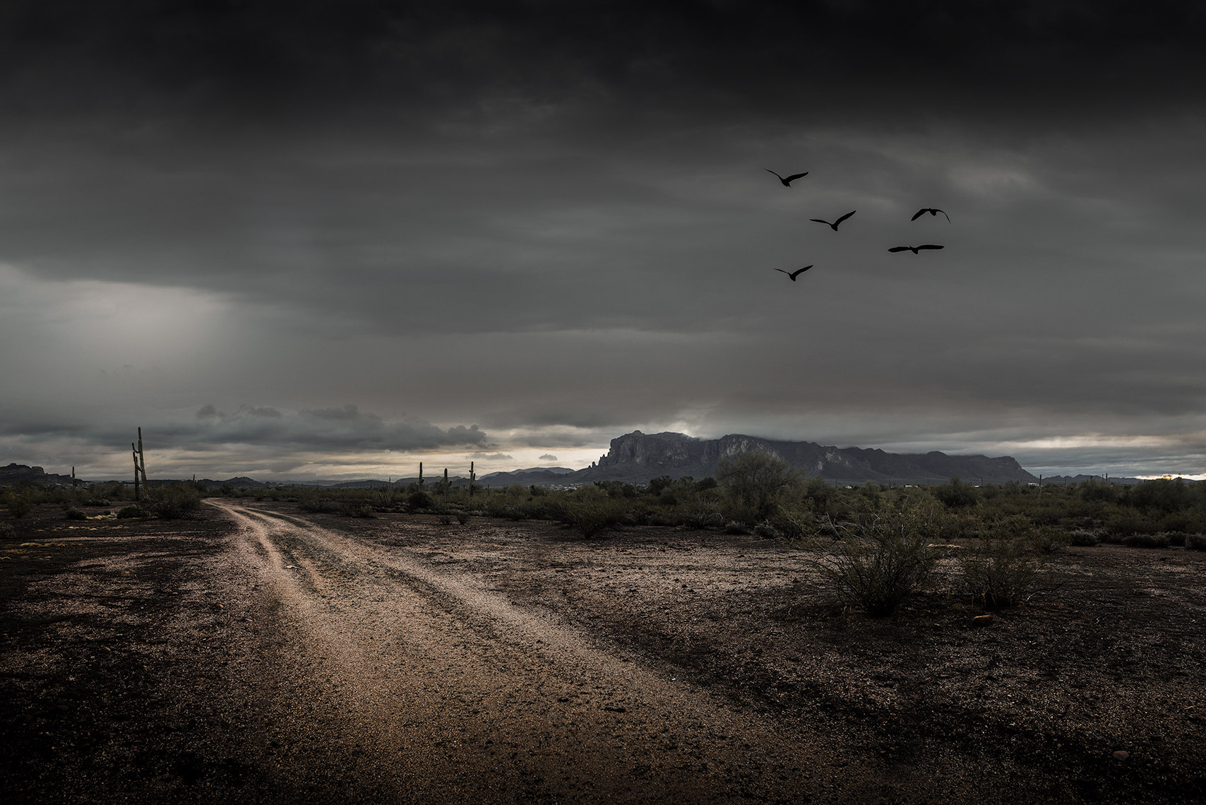 _MG_0673-Edit.1